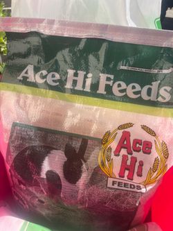 Free animal food bunny food & corn