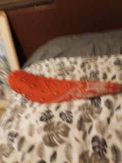 17 in bandana set for sale