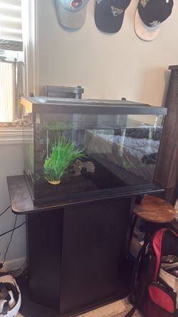 20gal fish tank with stand