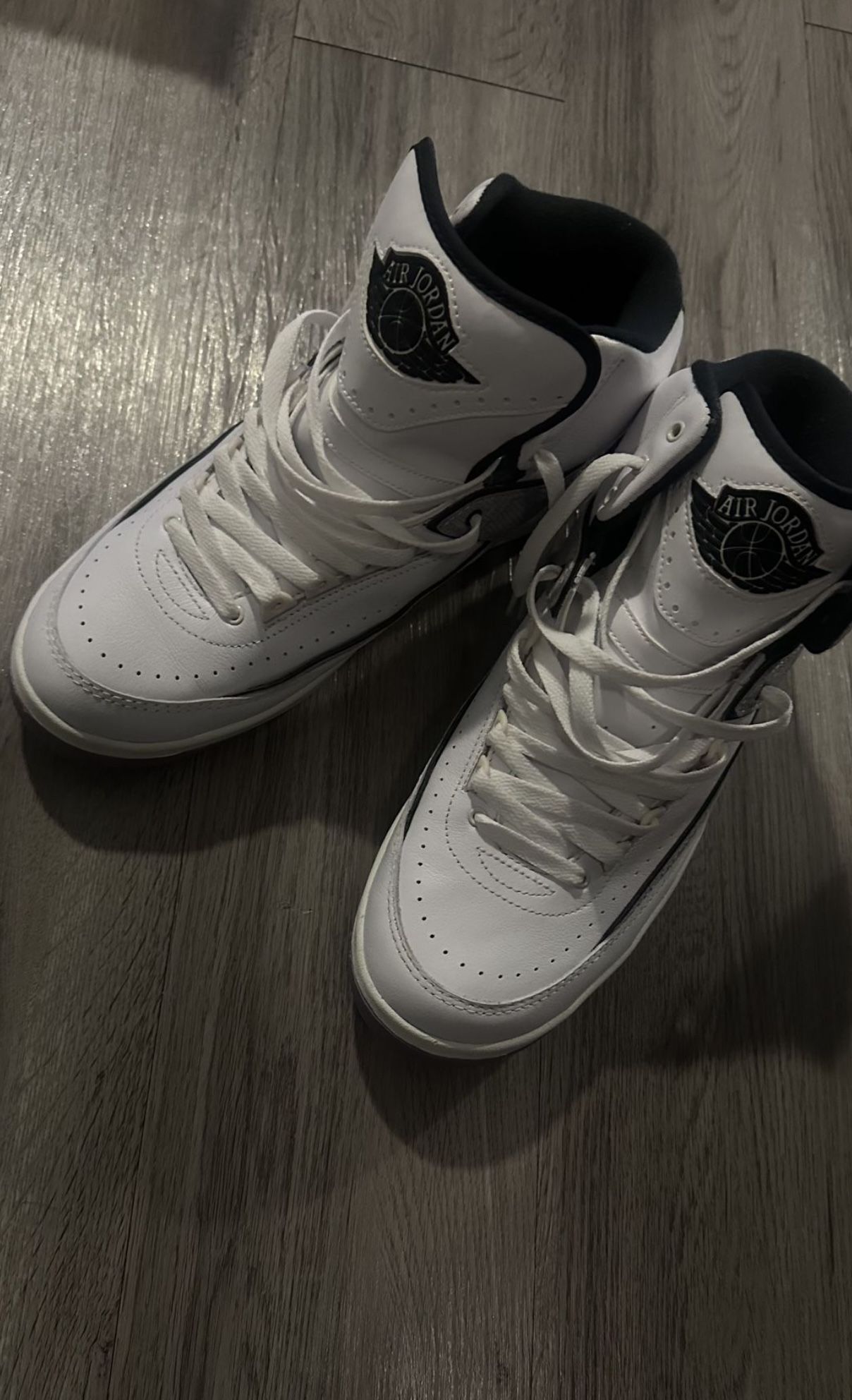 Air Jordan 2 (READ DESCRIPTION)