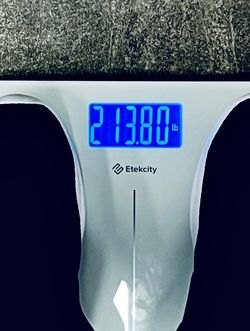 Brand New Digital Weight Scale