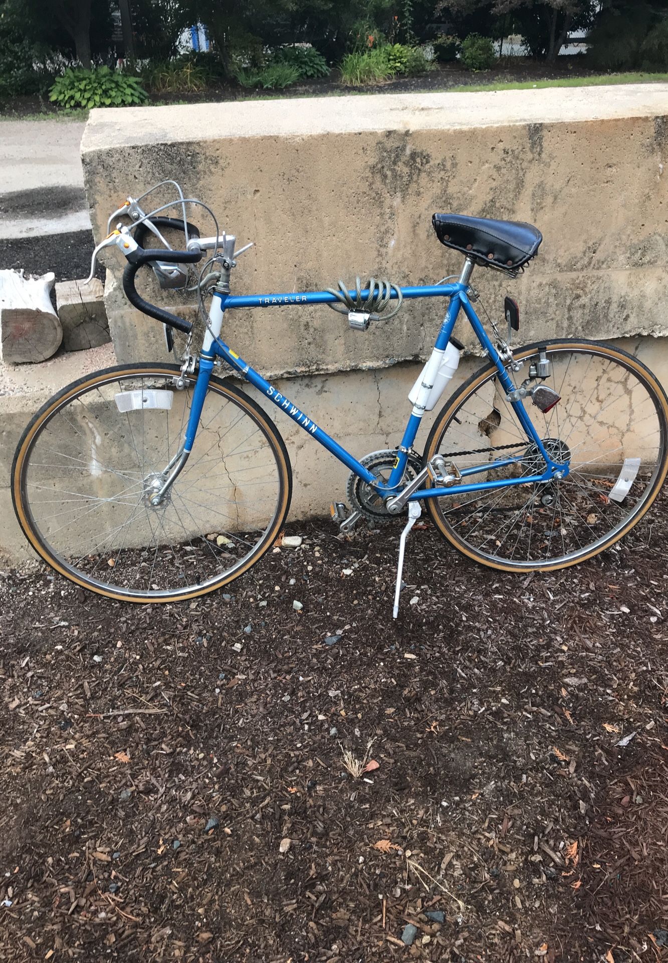 Schwinn traveler old-school classic