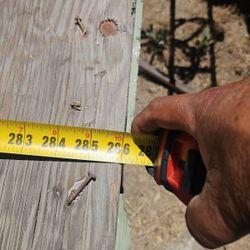 For a great project trader