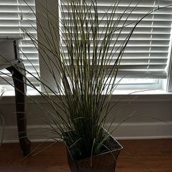 Faux Plant With Elegant Pot 