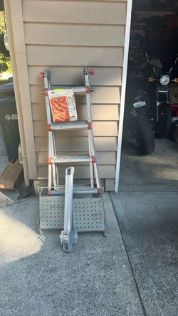 Little Giant Ladder System