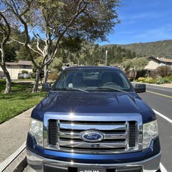 2010 Ford F-150 Truck