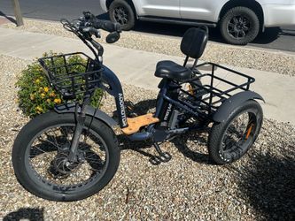 Addmotor electric bike in trike format