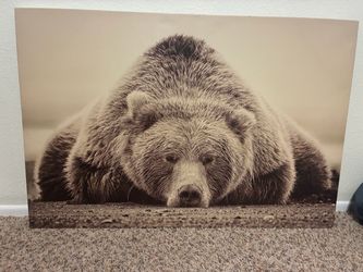 Large Bear Canvas Wall Art