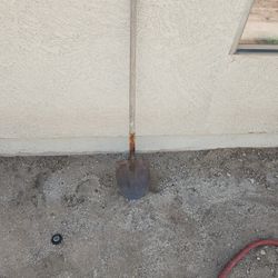 I'll Dig For You. 