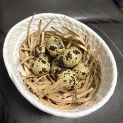 Jumbo Quail Eggs