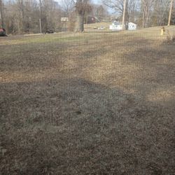 Mowing And Yard Cleaning 