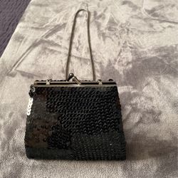 Small Sequined Clutch purse