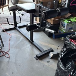 Titan Level Curl/Extension Machine