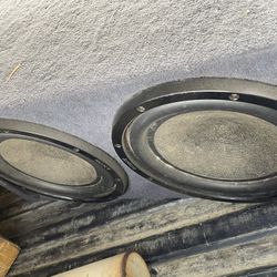 2 10 Inch Subwoofers 