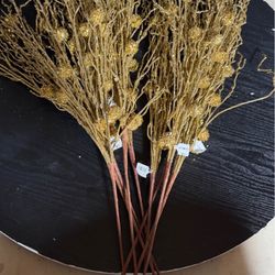 9 Glitter grass pick From At Home 