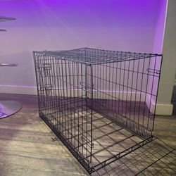 Dog Kennel