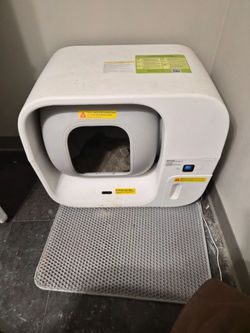 Automatic Cat Box