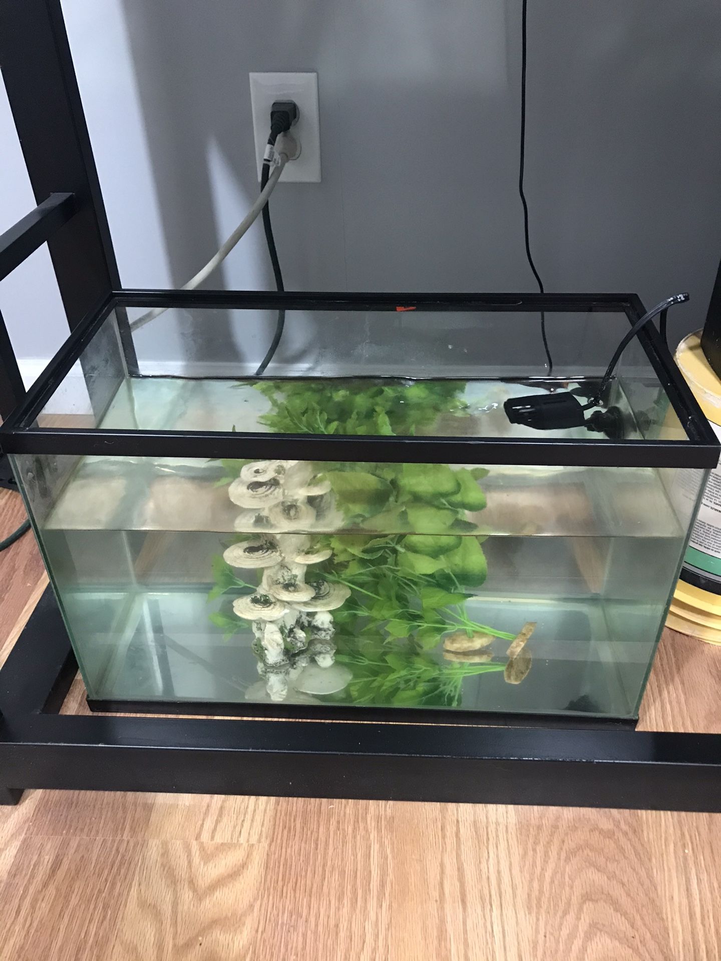 10 Gallon Fish Tank