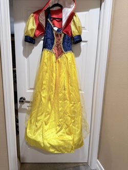 Snow White adult costume