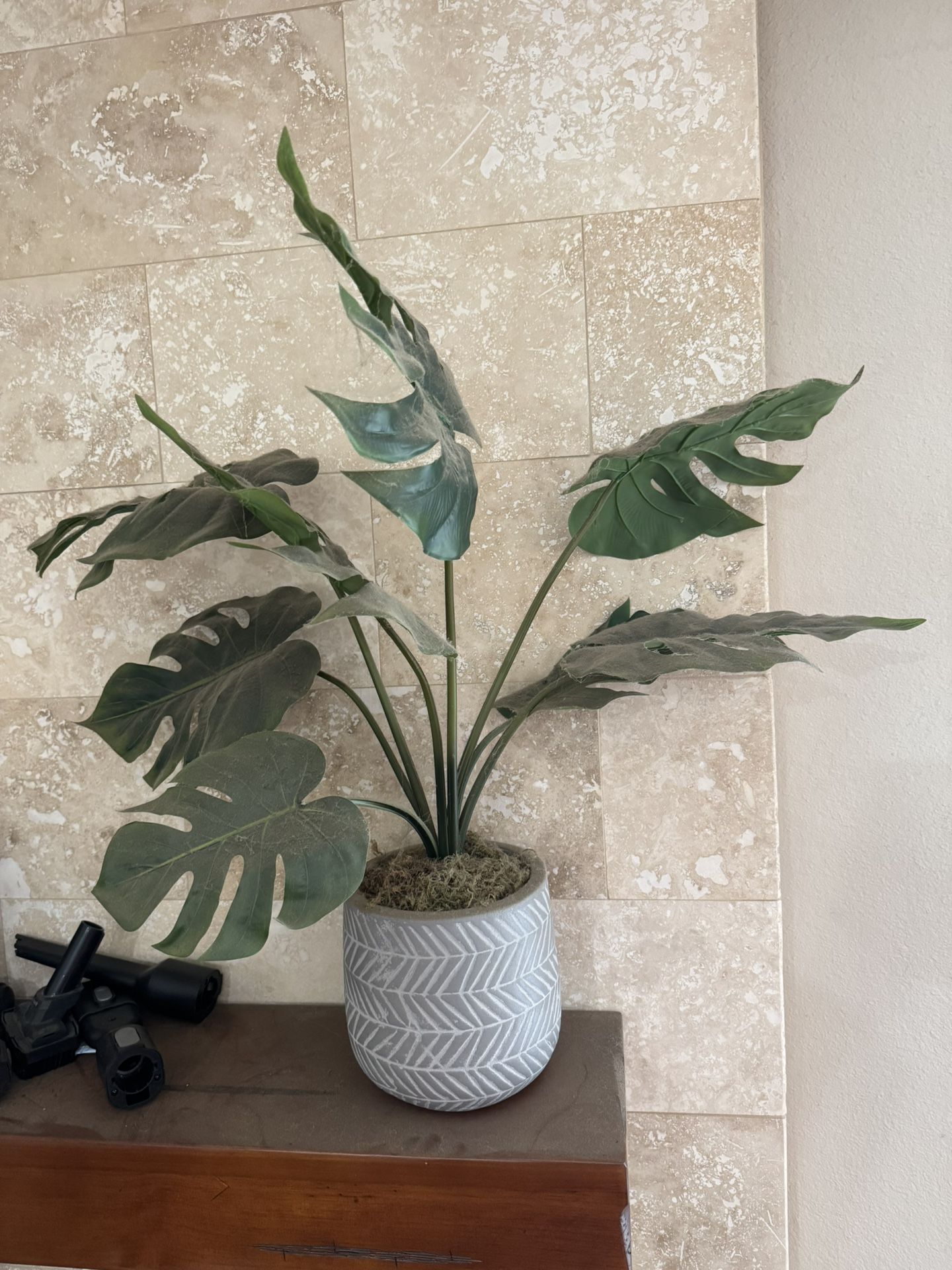 Fake House Plant