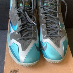Nike Lebrons