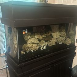 75 Fish Tank With Sump 