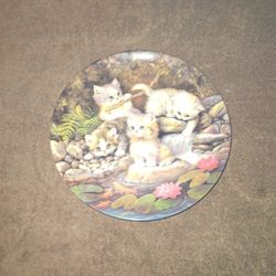 Beautiful Kitten Collwction Plate