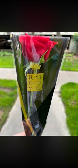 Single Red Rose Gift Sleeve