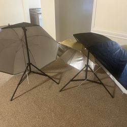 Alien Bee B800 flash unit and lighting kit