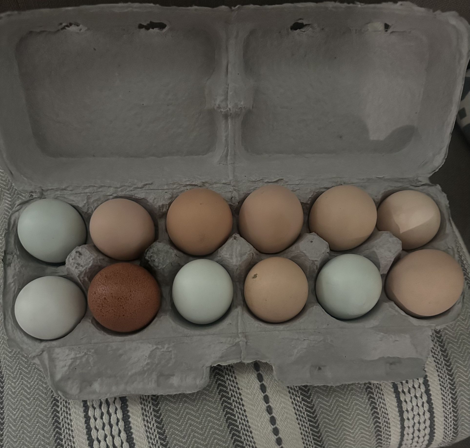 Eggs