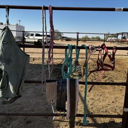 Horse Tack Room Clean Out