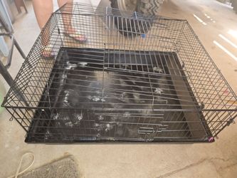 Extra Large Cage (rabbit, guinea pig, etc)