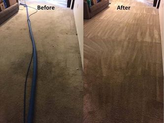 Carpet cleaning / limpieza de alfombras