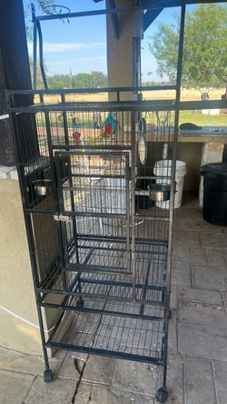 Parrot cage