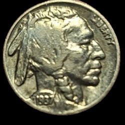 1937 Buffalo  Nickle , A Great Coin For Your Collection!!