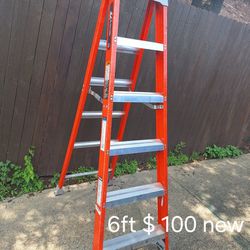 Ladder New 100