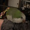 Sam