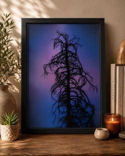 Framed Tree Silhouette Photography Print – 8.5x11 Wall Art – Twilight Nature Décor