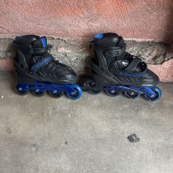 Schwinn Skates 