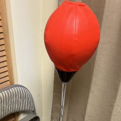 Punching Bag And Gloves