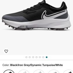 Nike Air Zoom Infinity Tour Next% Men's Golf Shoes