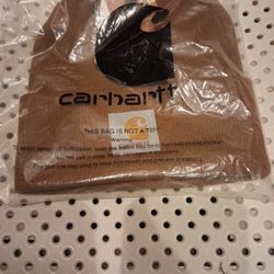CarHartt Bernie Hat 
