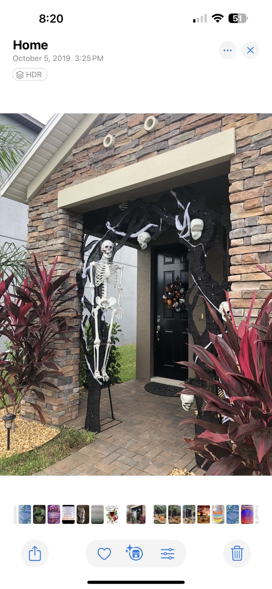 Halloween Skeleton Arch