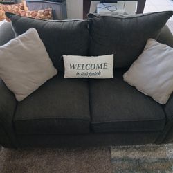 SPOTLESS CLEAN Large Gray Loveseat NO STAINS NO TEARS NO Rips