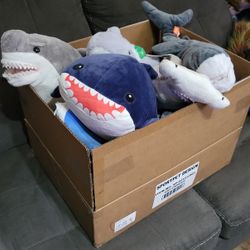 Box Of Random Shark Plush 