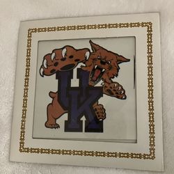 Kentucky Wildcats 