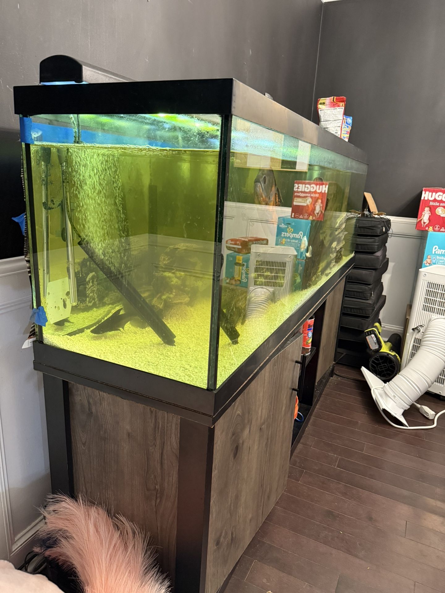 Fish Tank Stand And Pump