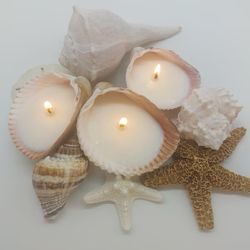 Handmade Seashell Soy Candles