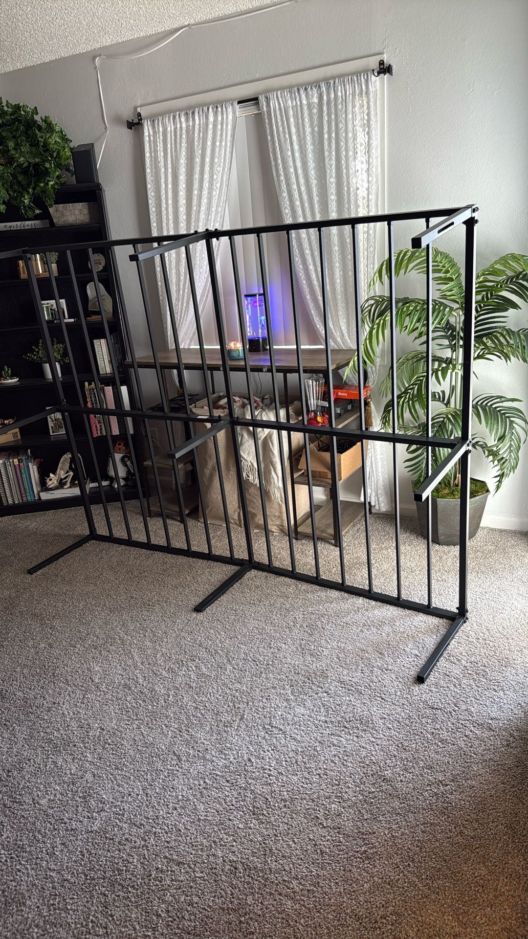 FREE Queen Bed Frame