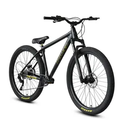 Throne goon Dime 29er BMX 10 speed bike